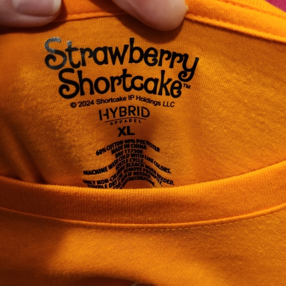 (5 For $25) NWT Strawberry Shortcake Boo Berry Season Oversized Graphic Tee XL - Picture 6 of 8